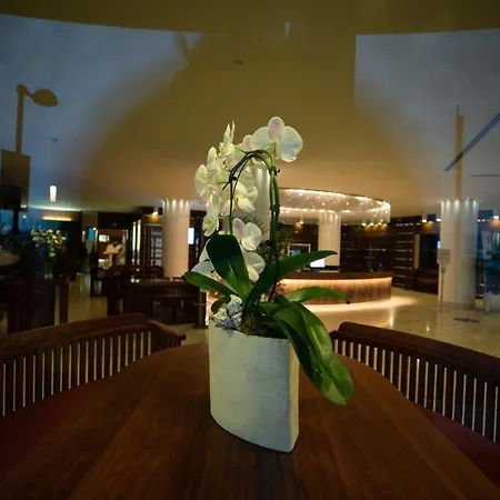 Laguna Palace 4* Grado